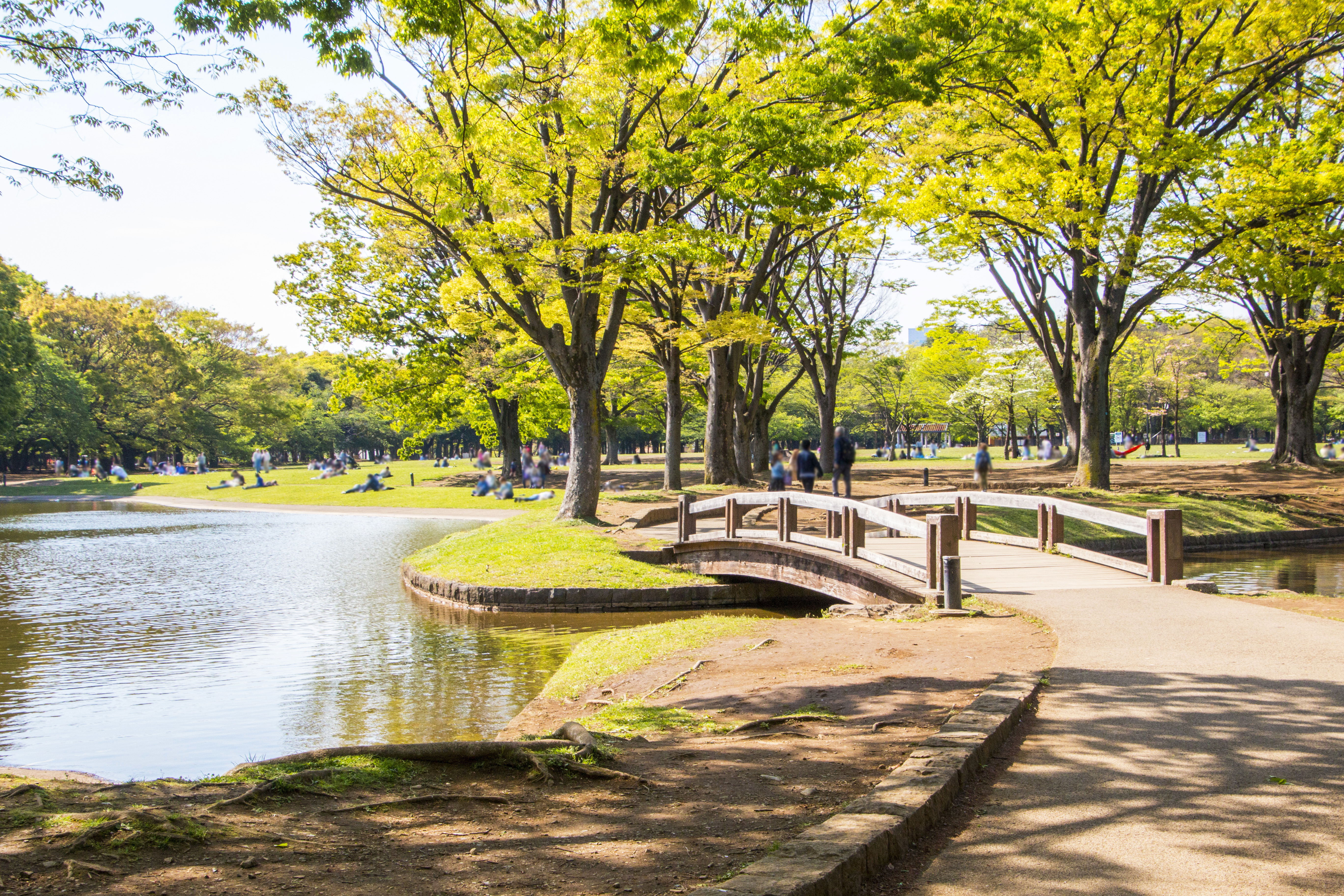 代々木公園の風景